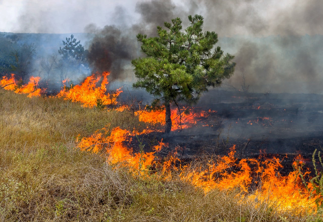 As 10 cidades brasileiras que mais emitem CO2e