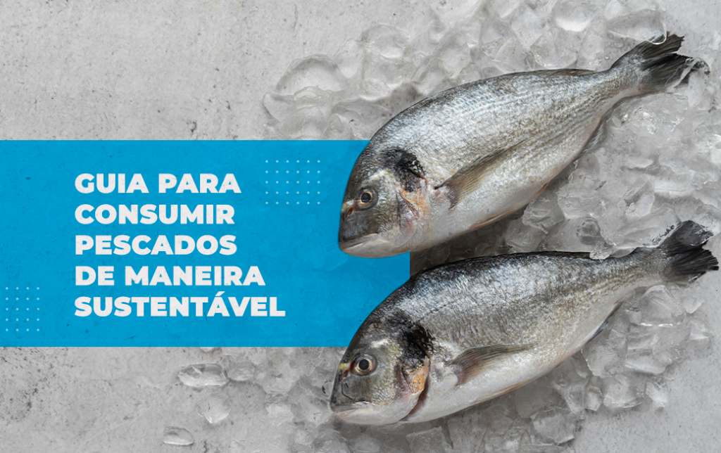 Um guia para consumir pescados de maneira sustentável