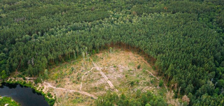Dia Nacional da Conscientização sobre as Mudanças Climáticas