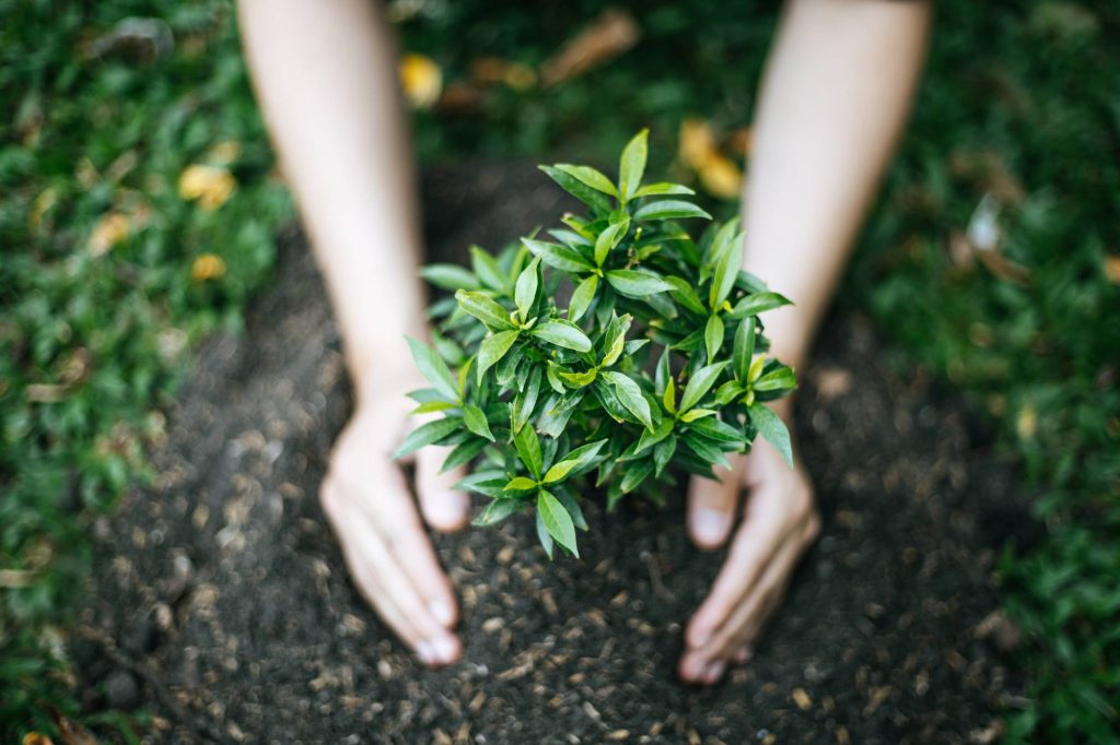 Conheça a Política Nacional de Educação Ambiental