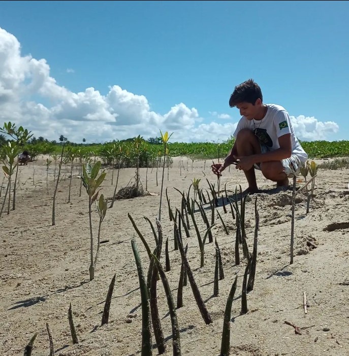 Conheça os vencedores do Prêmio Meros de Conservação da Biodiversidade Marinha