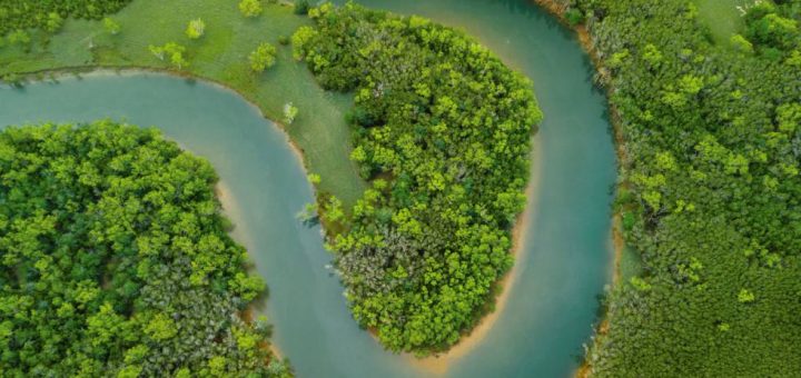 Glossário Ilustrado da Justiça Climática prepara líderes da Amazônia para COP30